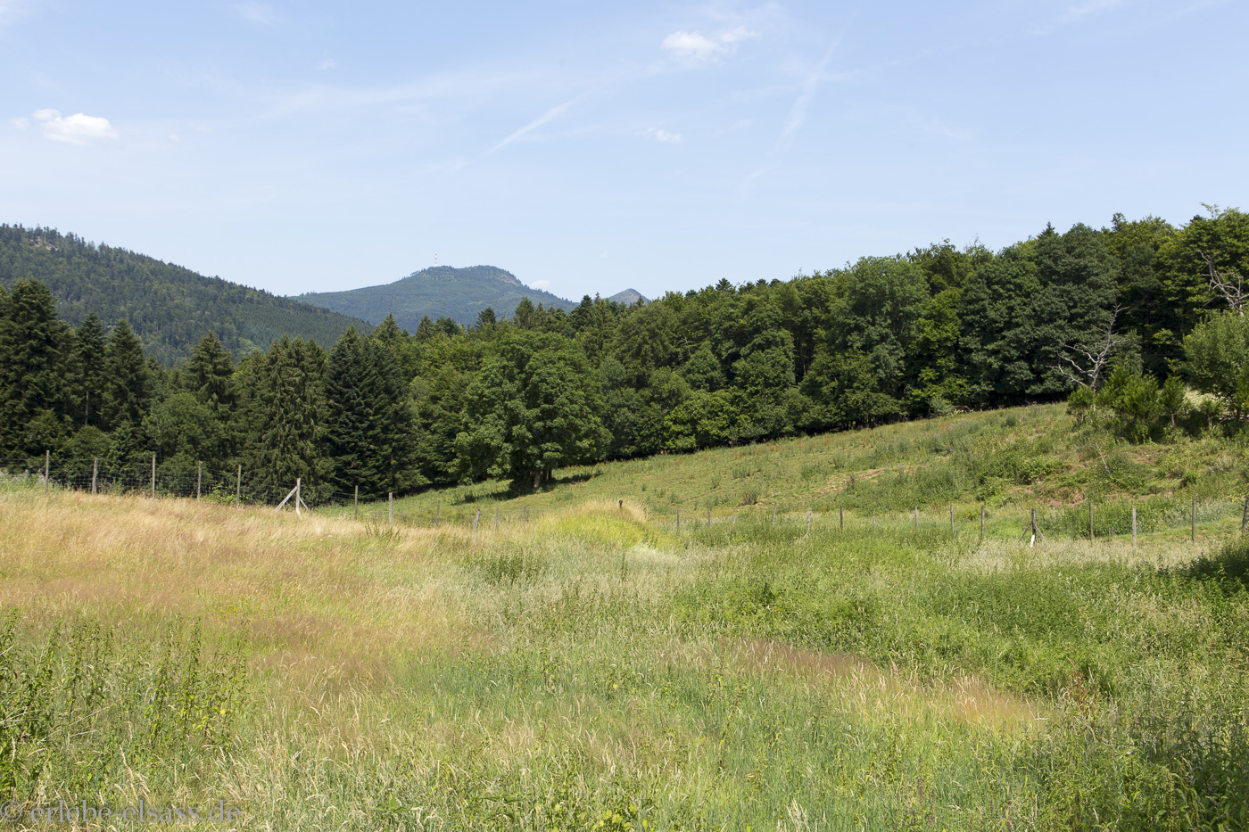 Aussicht von Salm zum Donon