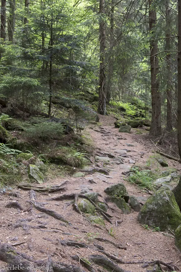 Abstieg vom Jardin des Fées ins Soultzbachtal