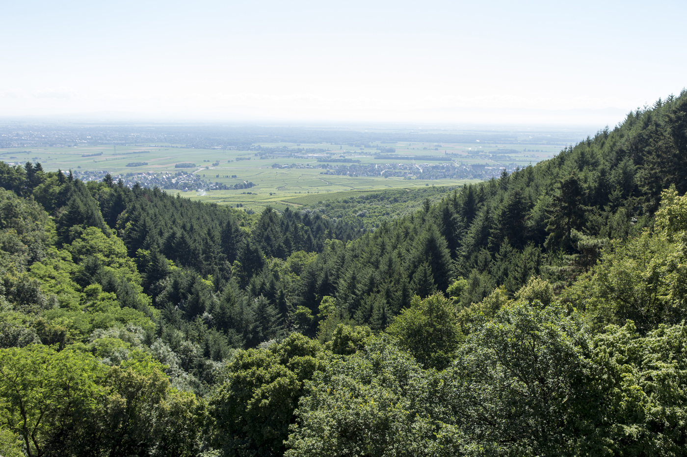 Aussicht von der Burg Hagueneck