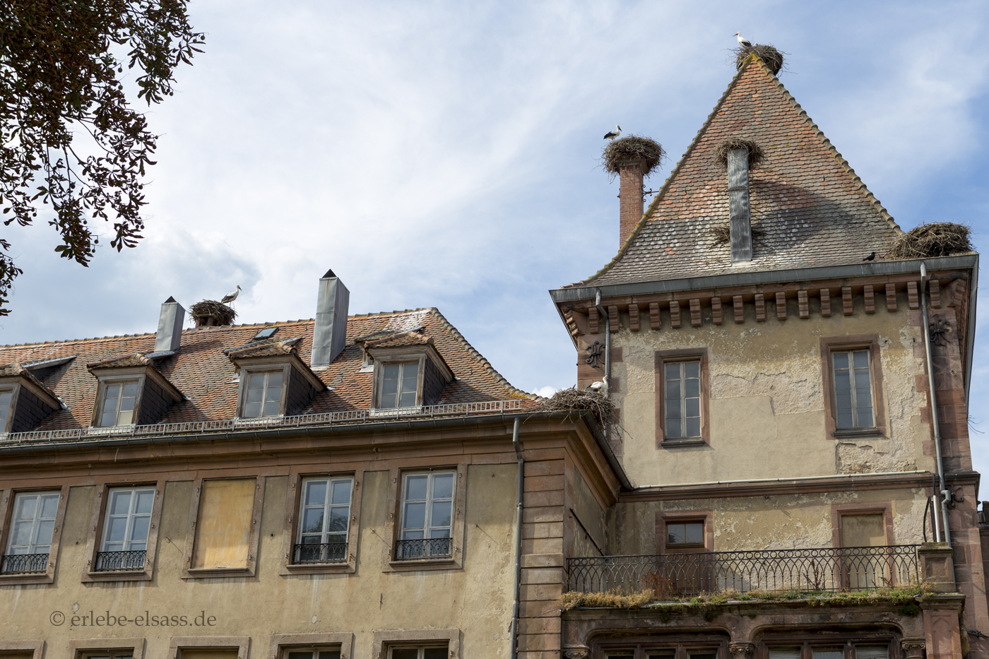 Alter Tempel von Munster