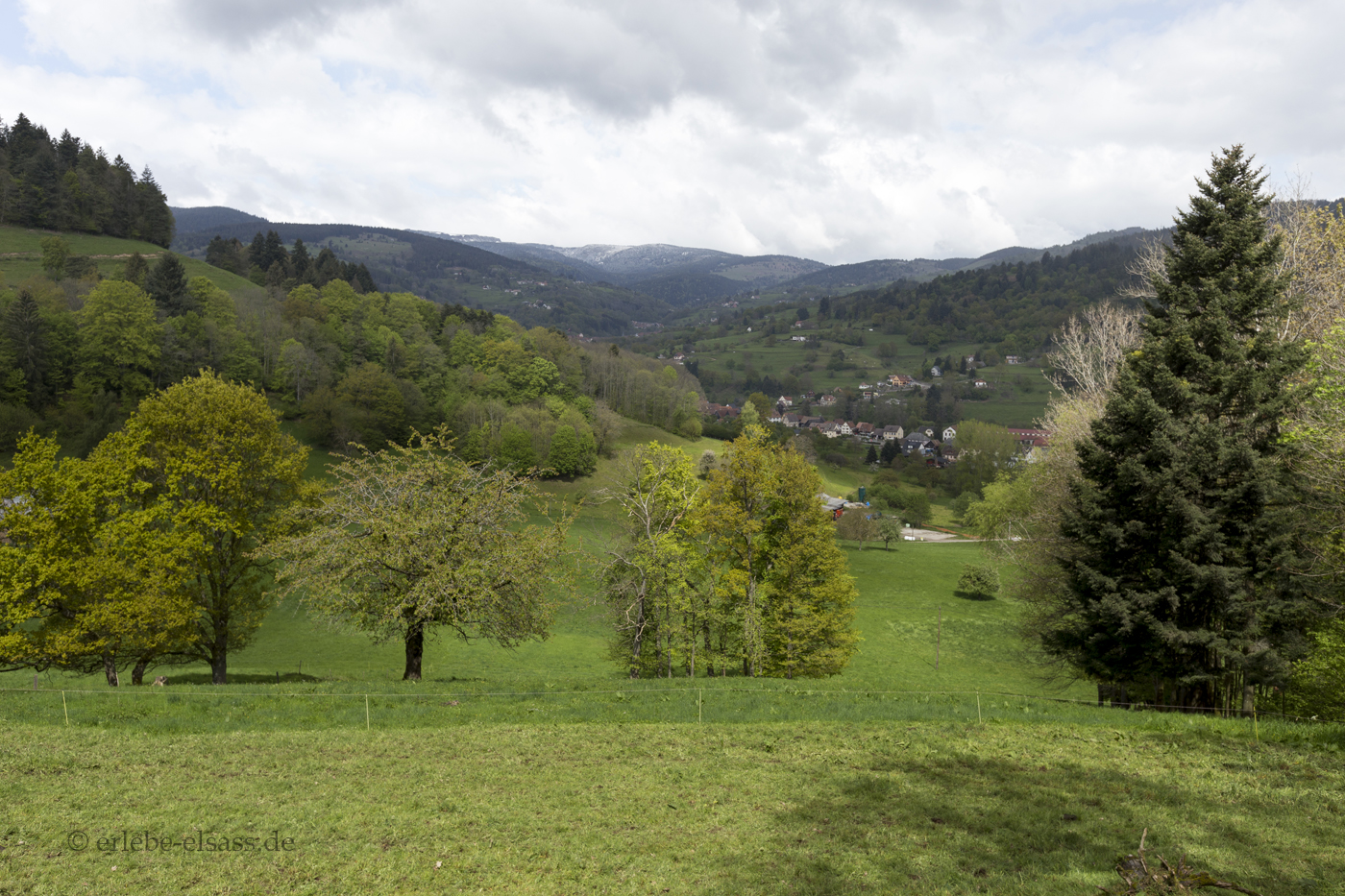 Aussicht vom Weg der Poeten zu den Vogesen
