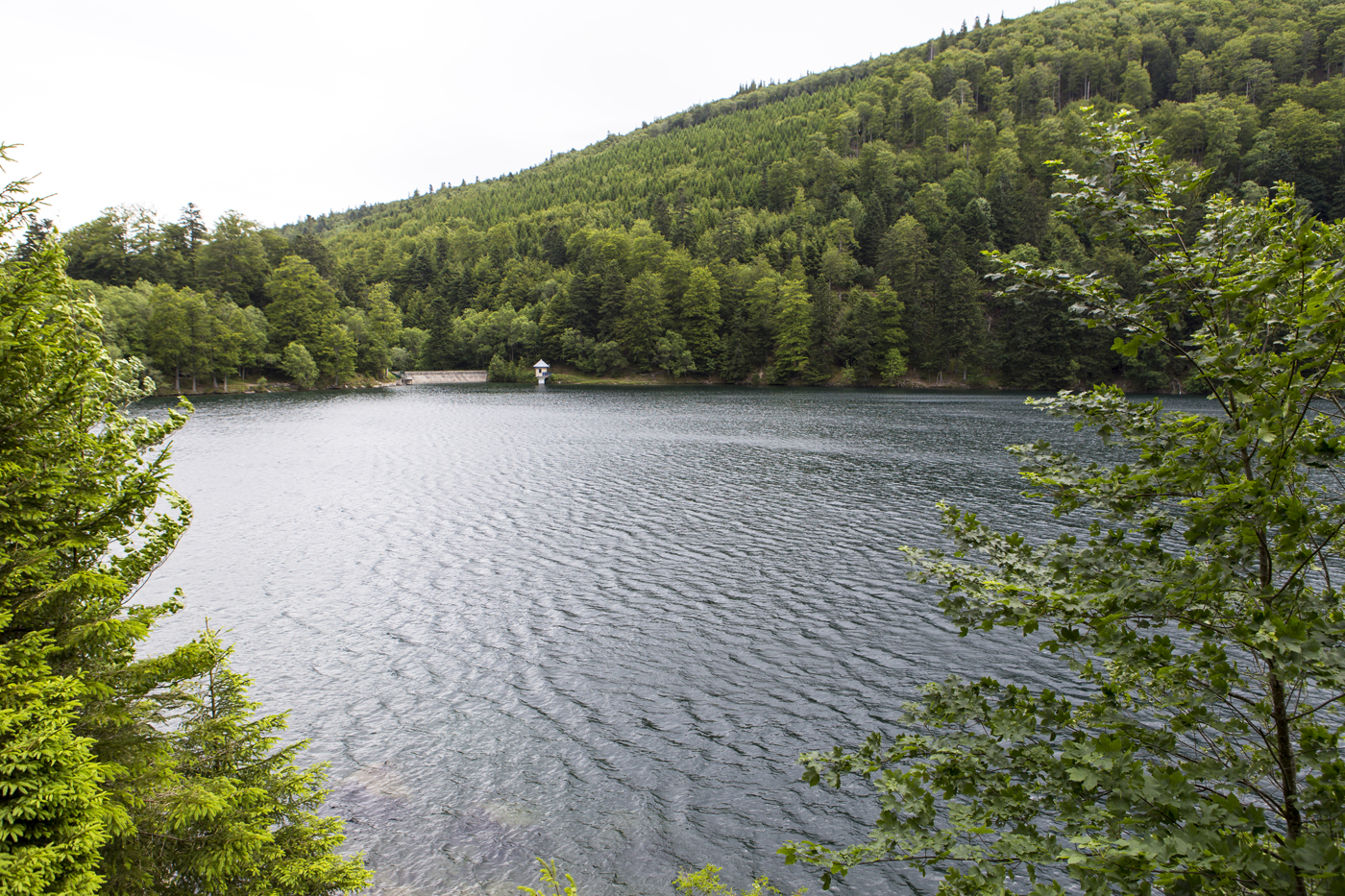 Blick über den Lac du Ballon