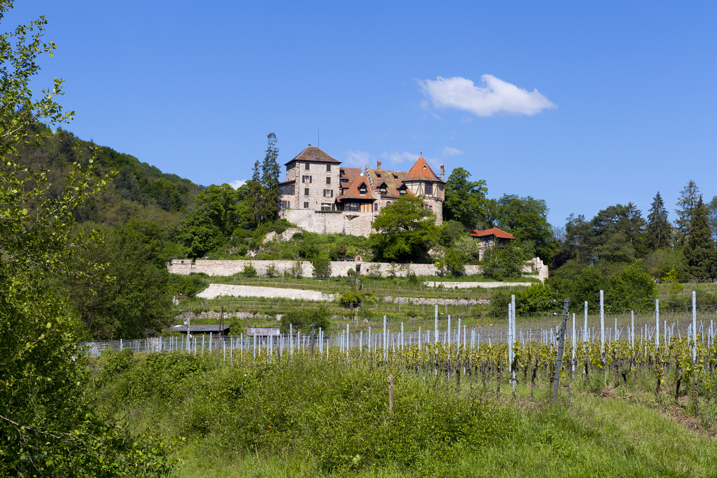 Weingut Château de Reichenberg