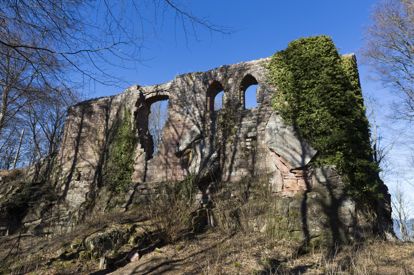 Palas der Oedenbourg