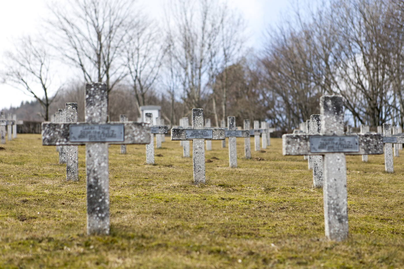 Soldatengräber auf dem Hartmannswillerkopf