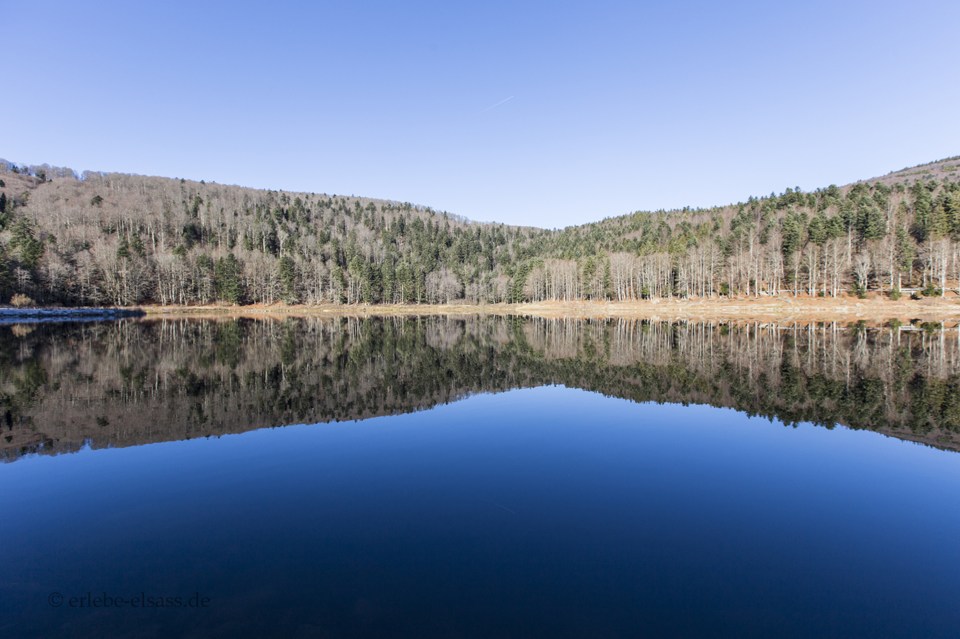 Blick über den Lauchsee im Winter