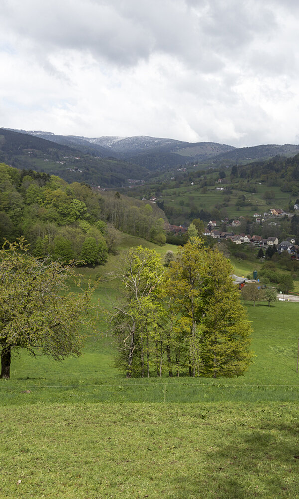 Aussicht vom Weg der Poeten
