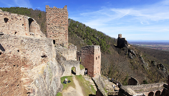 Burgen und Wein bei Ribeauvillé