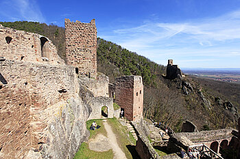 Aussicht von der Ulrichsburg zur Girsberg