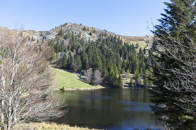 Blick auf den Forellensee