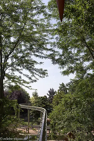 im schattigen Laub während der Monorailfahrt im Cigoland