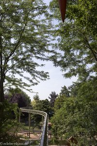 im schattigen Laub während der Monorailfahrt im Cigoland