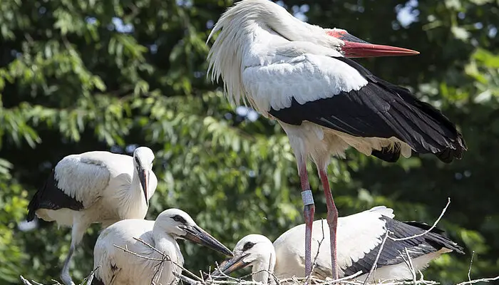 Ausflug zum Freizeitpark Cigoland