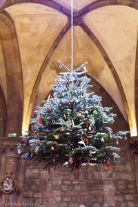 ein Weihnachtsbaum an der Decke in der Eglise Saint-Georges in Sélestat