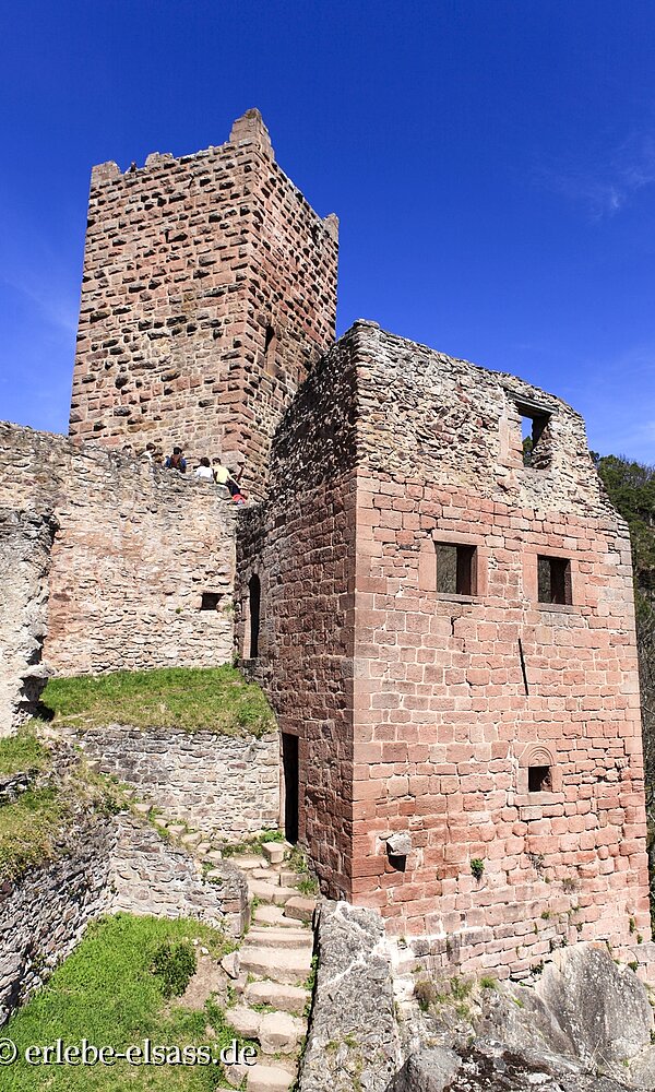Ulrichsburg oberhalb von Ribeauvillé