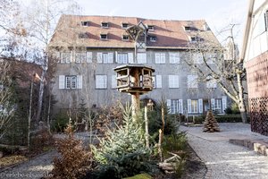 weihnachtlicher Dahliengarten von Sélestat