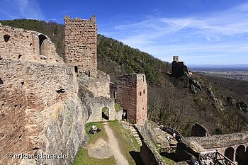 Ruine der Ulrichsburg