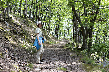 Wanderung von Geberschweier auf den Schauenberg