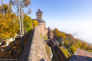 Herbststimmung bei der Hochkönigsburg im Elsass