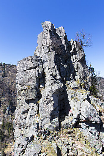 Beim Observatorium Belmont