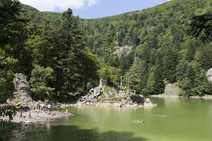 felsiges Ufer des Weihers