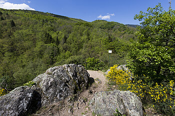 Rocher Witzigfelsen bei Bergheim