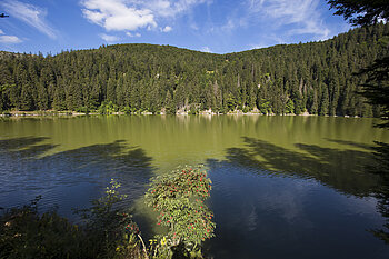 Blick über den Lac Vert in den Vogesen
