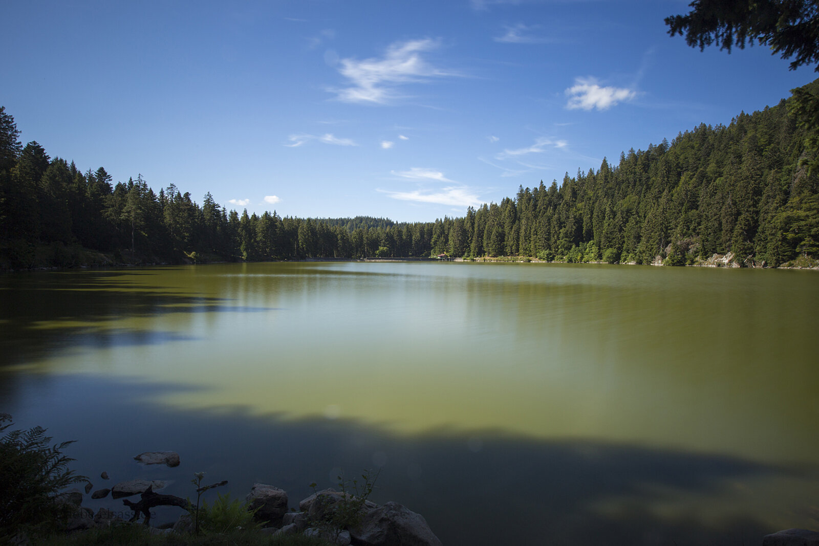 Aussicht über den Lac Vert, den Grünen See der Vogesen