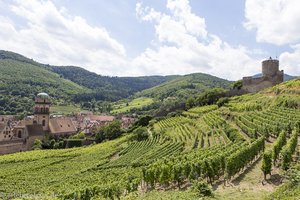 der Burgberg von Kaysersberg