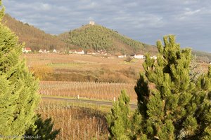 Sicht über die Weinberge nach Husseren-les-Châteaux und den Burgen von Eguisheim