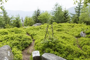 Mystische Stimmung imJardin des Fées, dem Feengarten