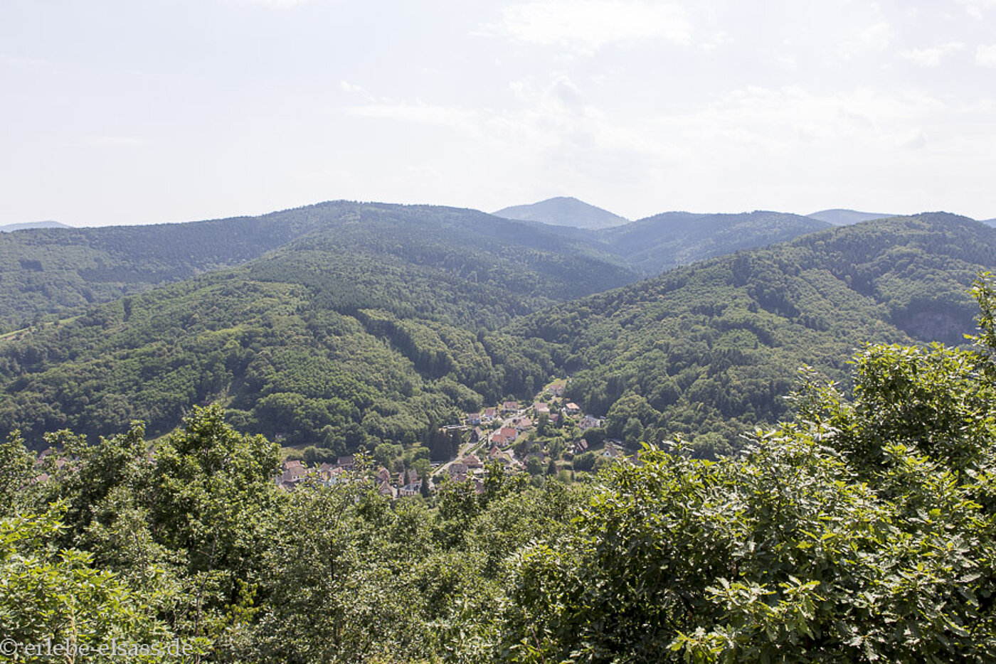 Aussicht auf dem Weg zur Burg Hoh-Andlau