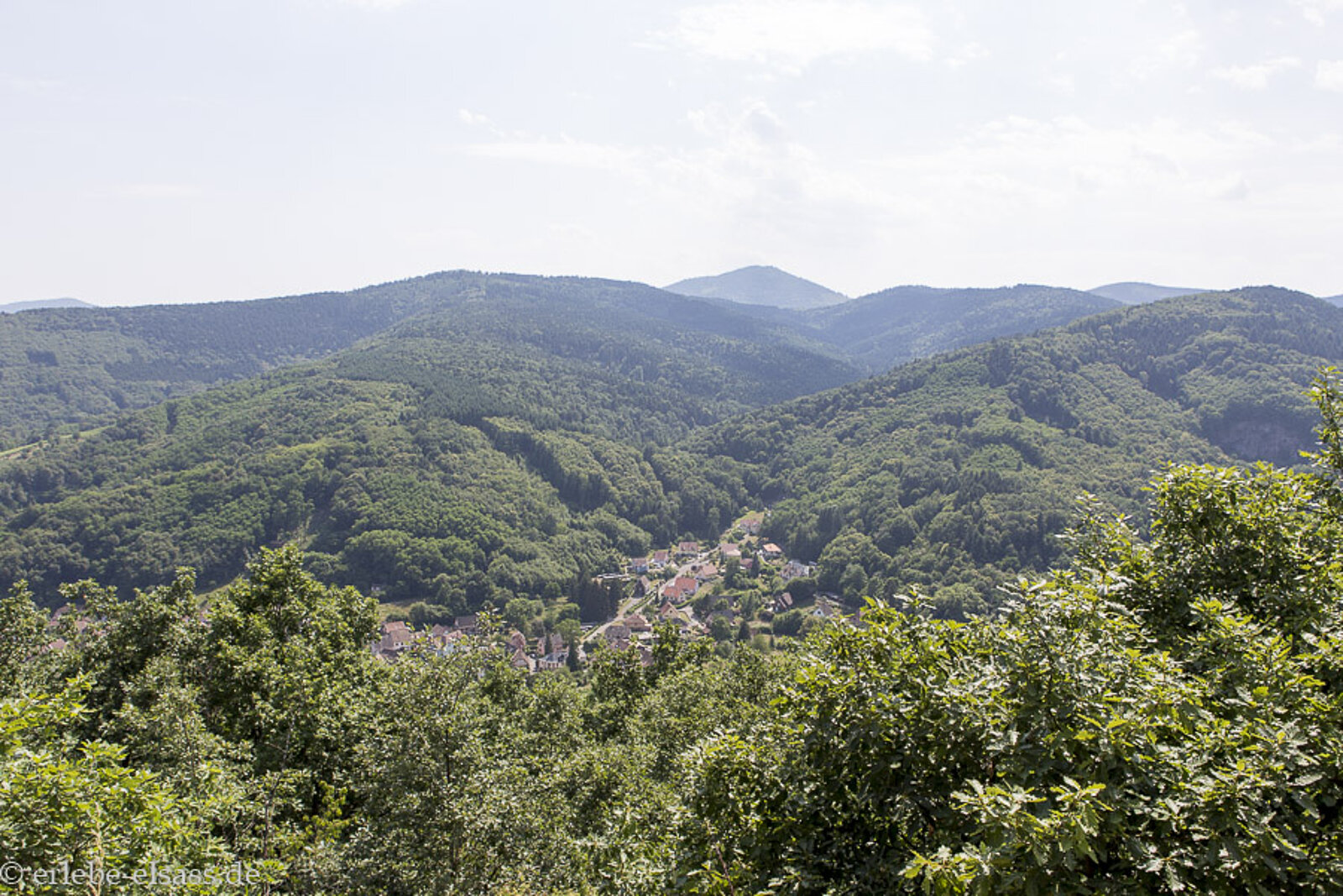 Aussicht vom Rocher Sainte Richarde über das bewaldete Tal der Andlau