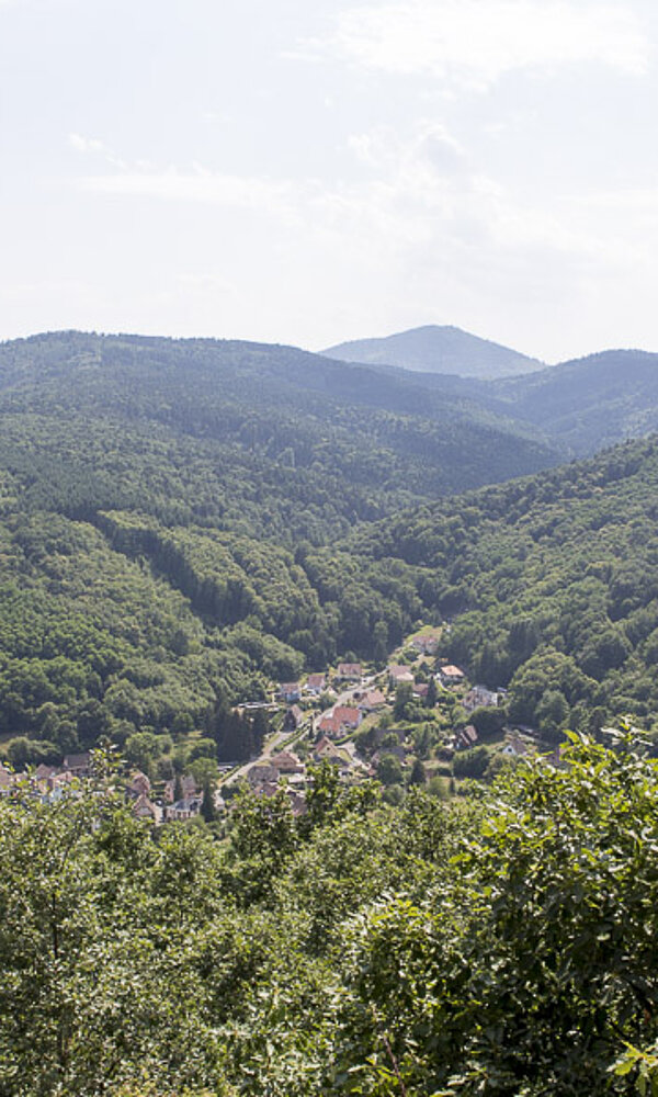 Aussicht auf dem Weg zur Burg Hoh-Andlau