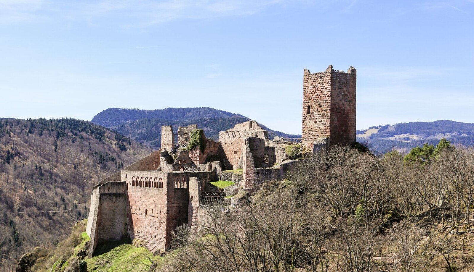 Ulrichsburg oberhalb von Ribeauvillé in den Vogesen