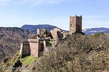 Die Ulrichsburg ist auch als Grand-Ribeaupierre bekannt.