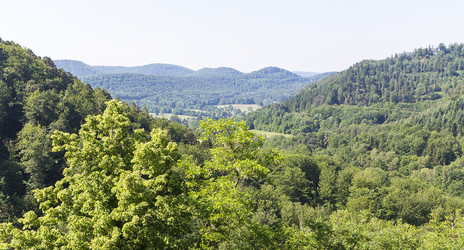 Aussicht vom Wasigenstein in der Alsace Verte