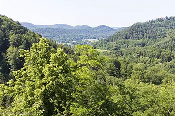 Aussicht von der Burg Wasigenstein