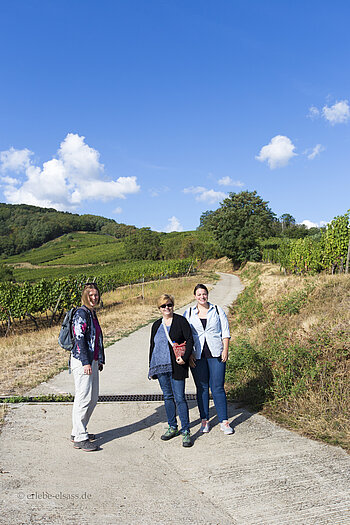 Wanderung ab Ammerschwihr