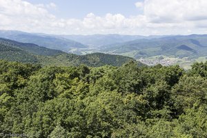 Blick in das Münstertal und zu den Hochvogesen