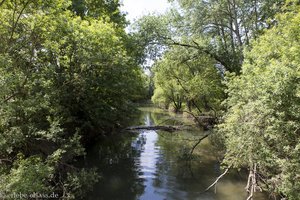 Blick über den Hollockgraben nahe der Ill