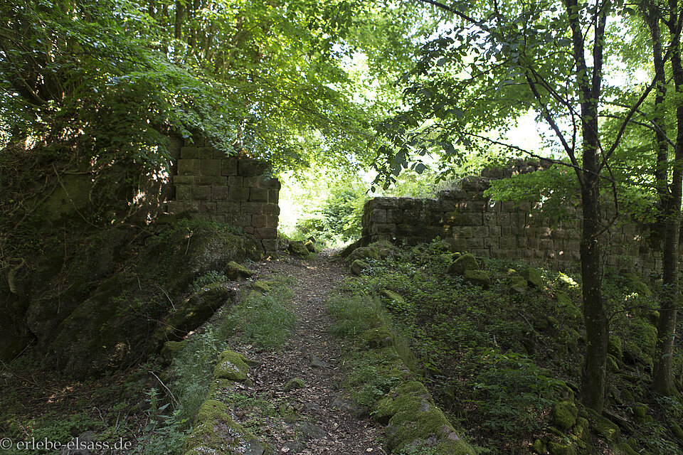 Ruine der Burg Grand Ringelstein mi Elsass