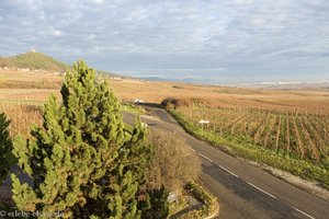 am Rand ausgedehnter Weinberge direkt an der Elsässer Weinstraße