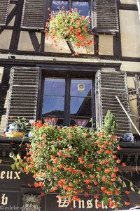 mit Blumen geschmücktes Fachwerkhaus in Strasbourg