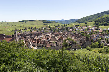 Aussicht auf Riquewihr