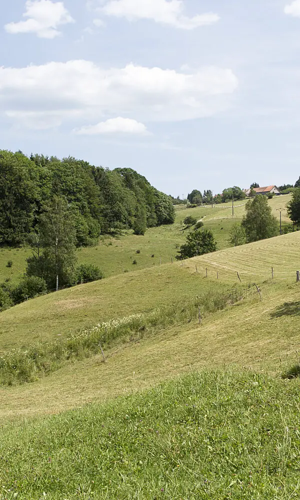 Landschaft bei Salm im Elsass