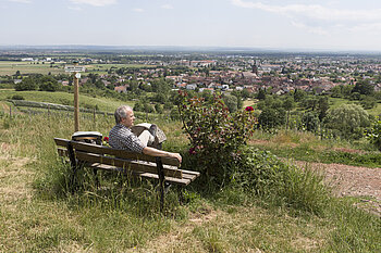 Rastbank oberhalb Uffholtz
