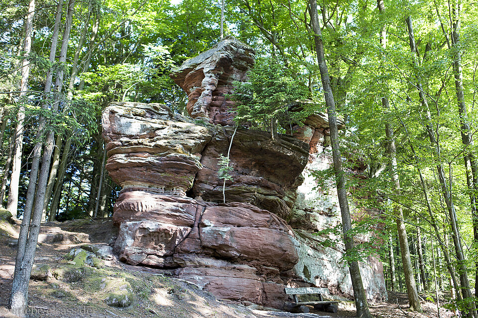 Klingelfels nahe dem Wasigenstein im Nordelsass
