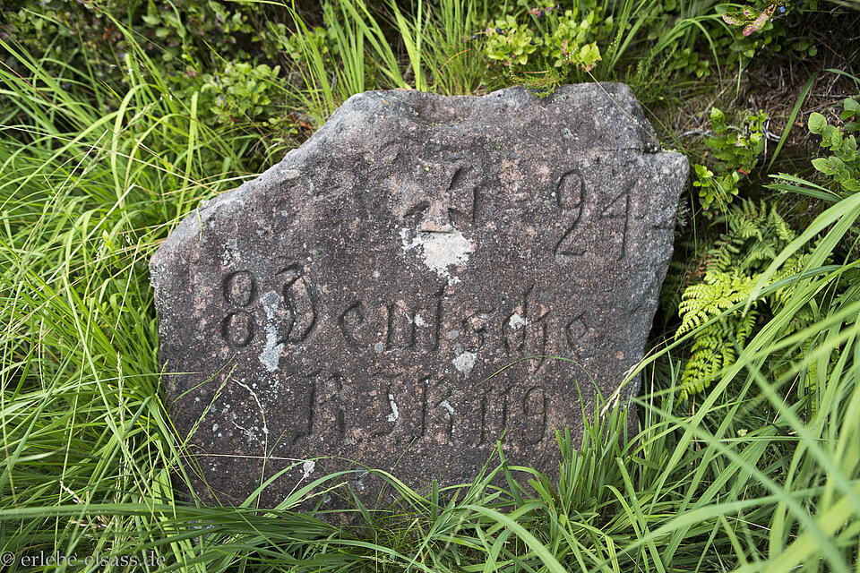 Steinplatte am Pfad der Stelen am Kleinen Donon