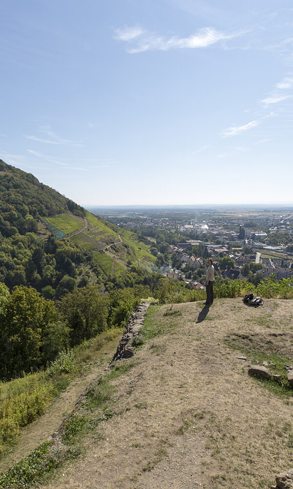 Aussicht von der Engelburg bei Thann